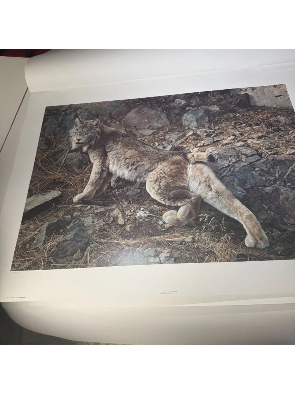 Carl Brenders "IN NORTHERN HUNTING GROUNDS" S/N 1530/1750 COA 1993 27” X 35”